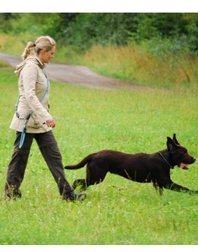 Nicole Blank Gepr. Hundephysiotherapeutin