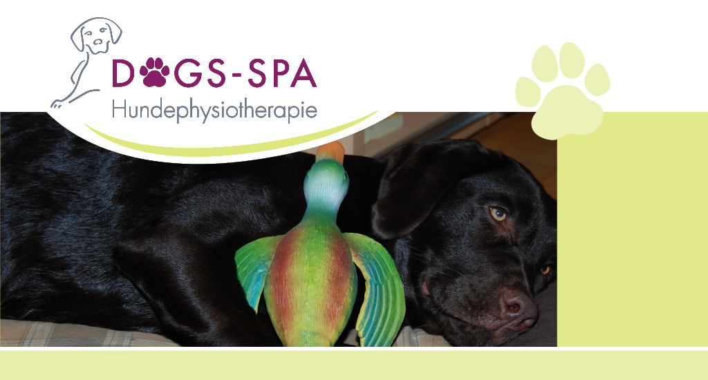 Dogs spa Hundephysiotherapie