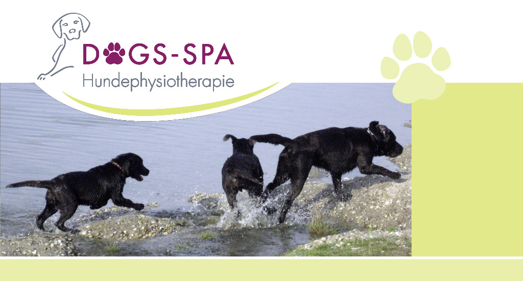 Dogs spa Hundephysiotherapie