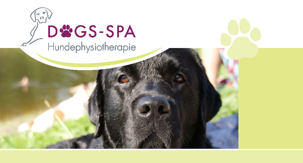 Dogs spa Hundephysiotherapie